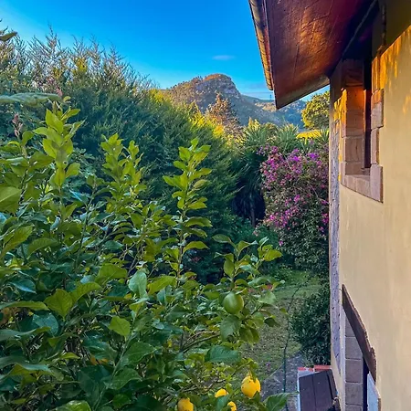 Casa Val De Vida - With Big Garden *